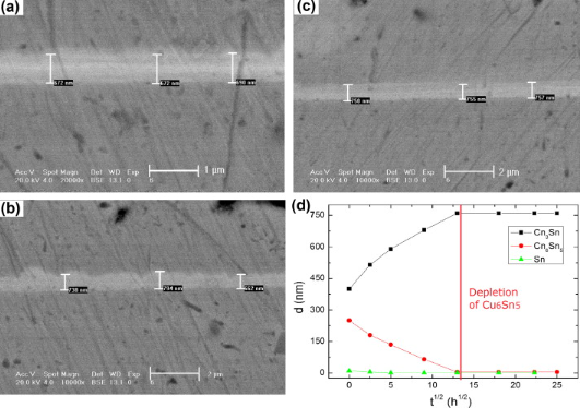 焊料層厚度為500nm時IMC層的生長情況