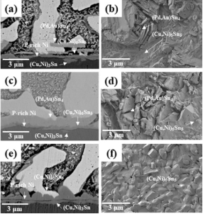 110℃老化100小時的焊點SEM圖。